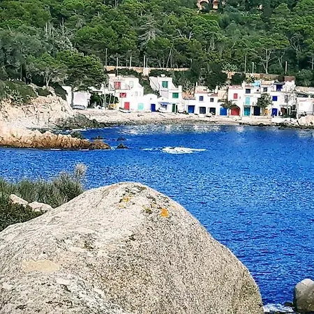 Orient En Tercera Linea De Mar Palamós